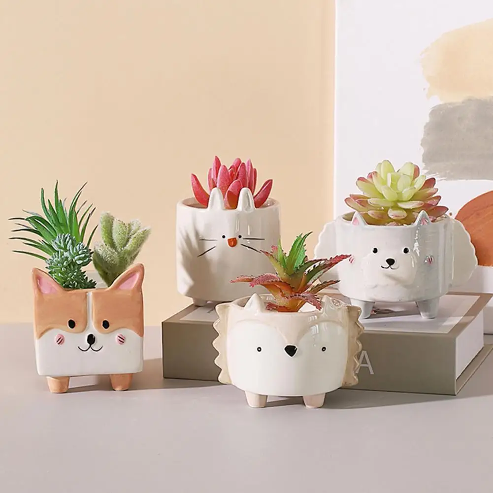 

Cute Hedgehog Rabbit Ceramic Flowerpot Succulent Planter Balcony Garden Decor Ceramic Flowerpot