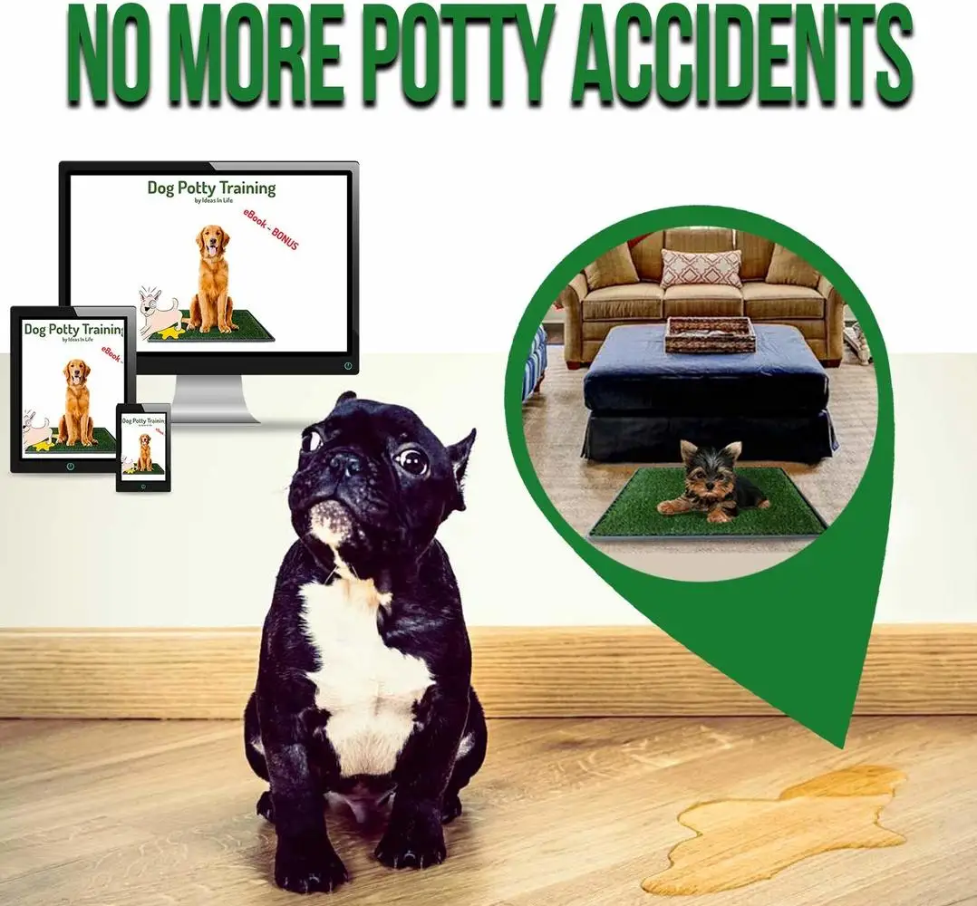 

Pet Products