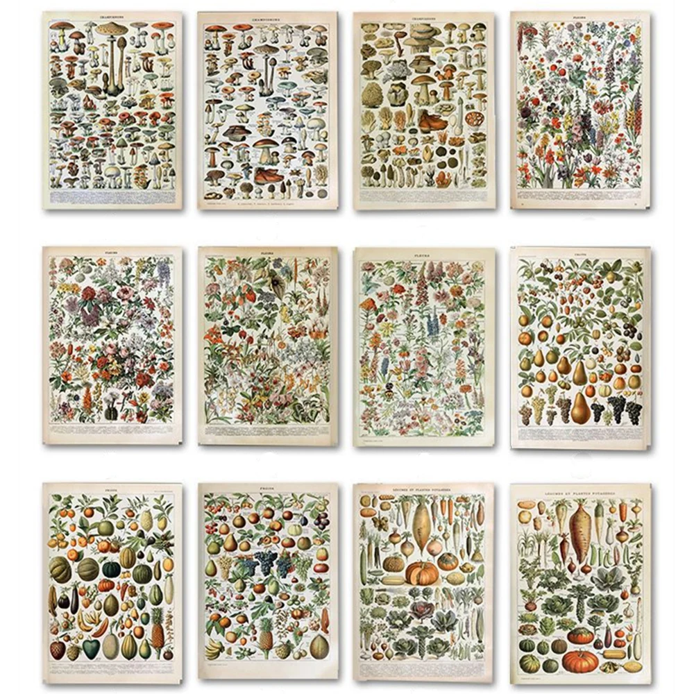 Античная растительными принтами Винтаж плакат с грибами на французском языке