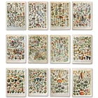 Античная растительными принтами Винтаж плакат с грибами на французском языке развивающие Wall Art Холст Картина без рамки домашний Декор стены