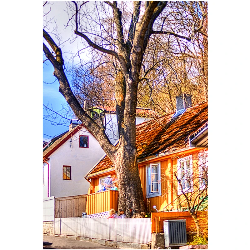 

Vintage House And Scenery Oil Painting Nordic Landscape Wall Art Picture Decoration Living Room Bedroom Caf Decor Canvas Poster