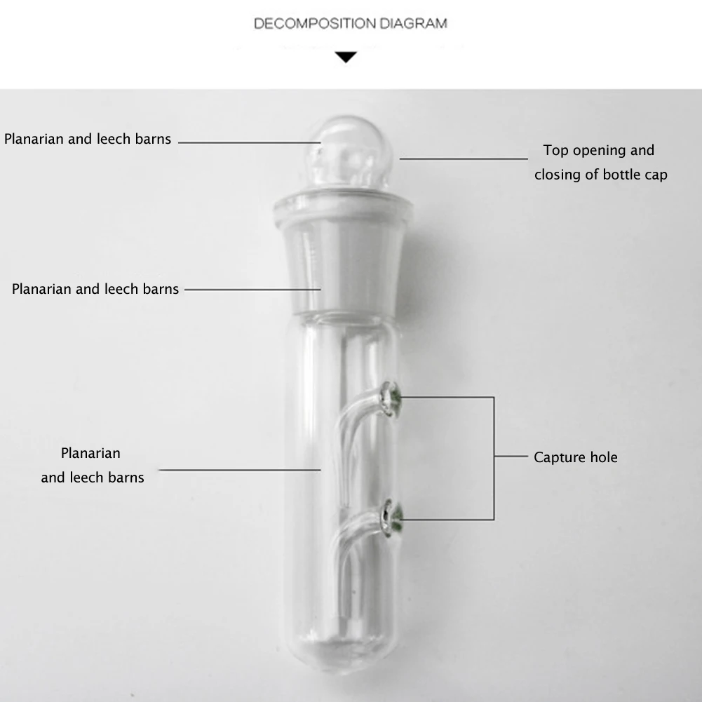

Aquarium Worm Trap Fish Tank Pest Catch Trap Glass Clear Leech Catcher For Planarian Flatworm Aquarium Aquatic Cleaner New