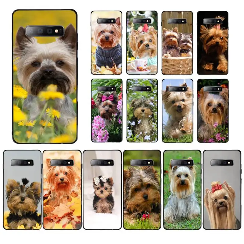 

MaiYaCa Yorkshire terrier dog Phone Case for Samsung S10 21 20 9 8 plus lite S20 UlTRA 7edge