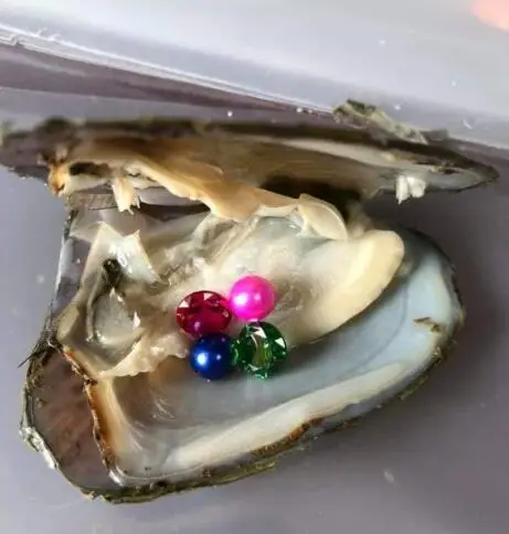 Newest Treasure Oyster Zircon gems and pearls in Freshwater 6-8mmAAA round random oyster shuck best surprise gift N162 | Украшения и