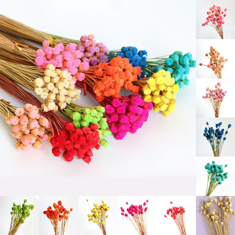 

50Pcs/lot Happy Flower Natural Dried Flower Bouquet Home Decoration Real Flower Diy Flower Arrangement Flower Shooting Props