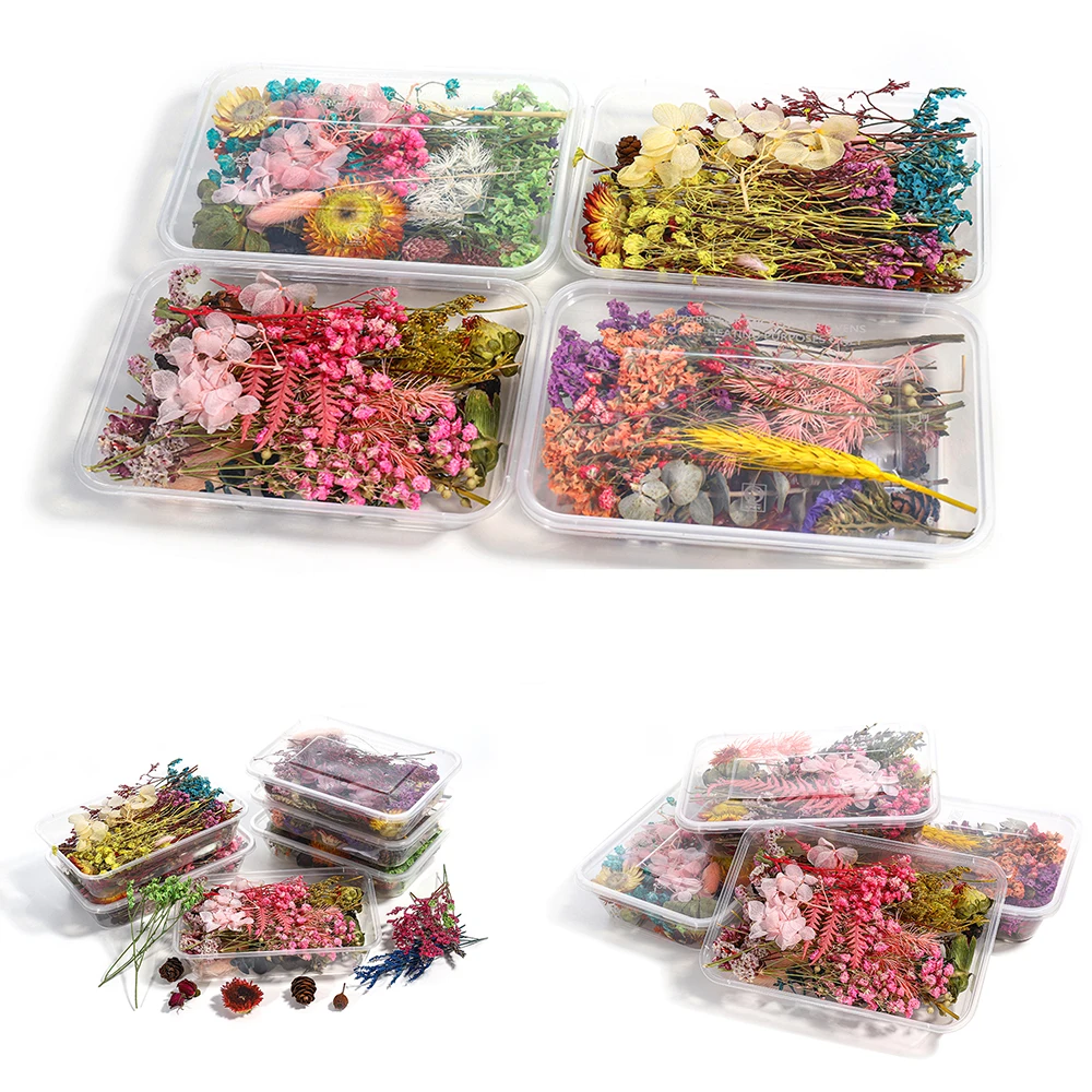 

1Box Random Dry Plants Pressed Flowers Mixed Real Dried Flowers For DIY Fillings Epoxy Resin Jewelry Making Crafts Accessories