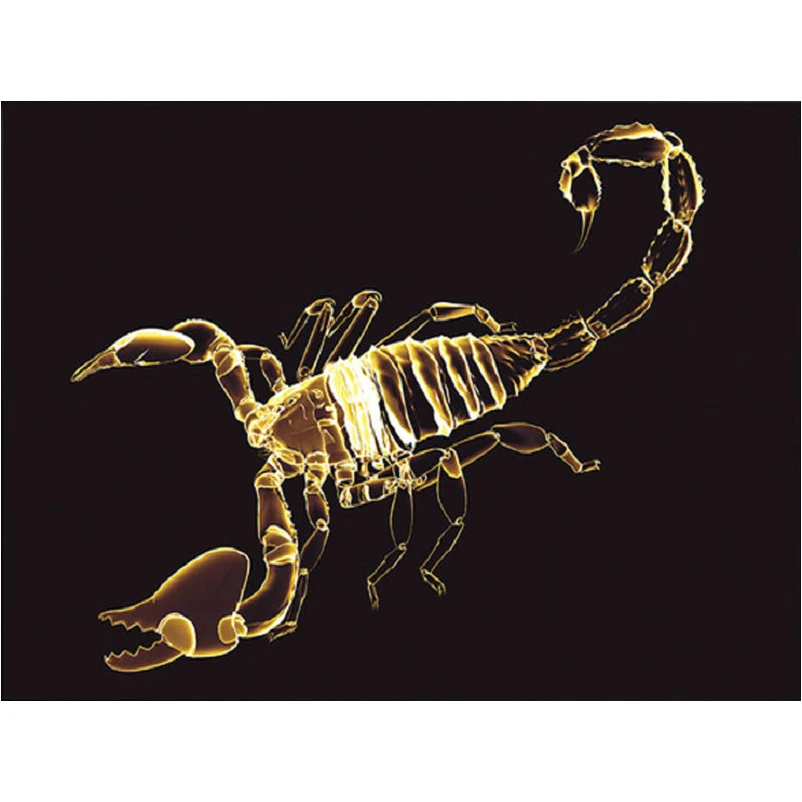 Diamond Painting Cross Stitch Set Diy Full Embroidery Abstract scorpion 3D Round square Resin Inlaid Rhinestone | Дом и сад