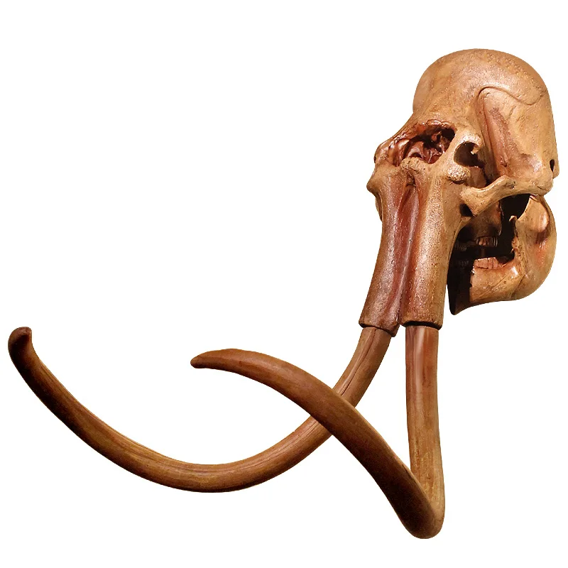 

American Style Country Personality Mammoth Head Wall Hanging Wall Clubhouse Exhibition Retro Ornament Pendant