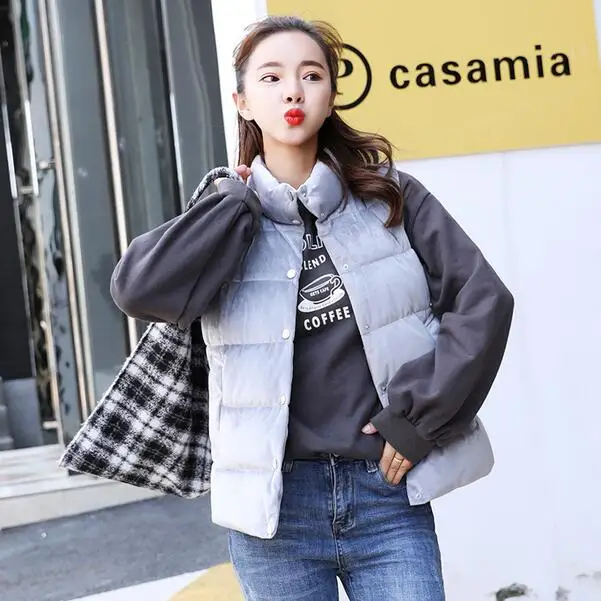 2019 Осень Зима Европейский стиль жилет из хлопка с подкладкой женский тонкий