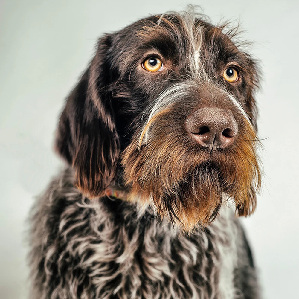 3x6 м абстрактная текстура ПОРТРЕТНАЯ ФОТОГРАФИЯ фон из микрофибры старый мастер