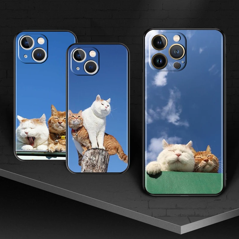 

Cute Cat Under The Sky for Apple iPhone 13 12 11 Pro Max mini XS XR X 7 8 6S 5S SE 2020 Soft Black Phone Case Cover