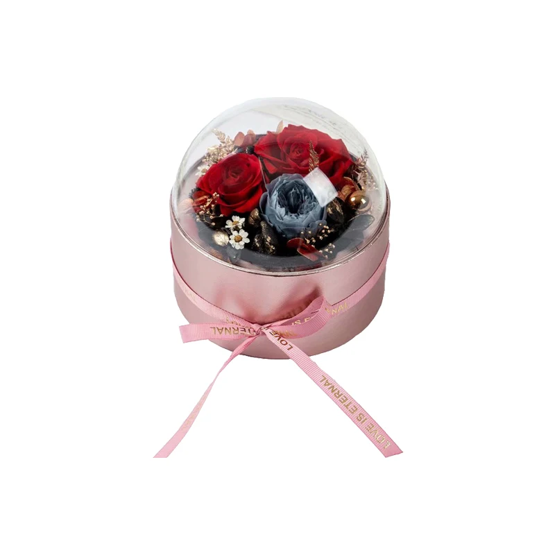 

Transparent Christmas Surprise Gift Packaging Box Creative Waterproof Eternal Flower Succulent Round Acrylic Window Apple Box