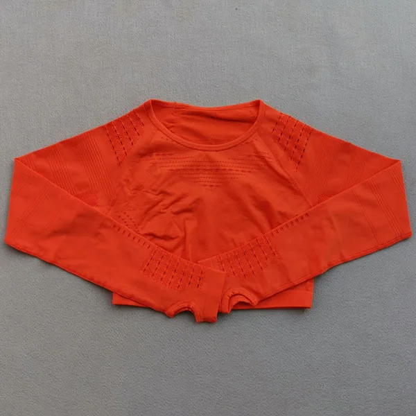 Orange top 2 шт., спортивный комплект для йоги, женская одежда для тренировок, безупречная трикотажная одежда с длинным рукавом, полый сетчатый компрессионный укороченный топ, бесшовные Леггинсы для йоги - Цвет: Orange top