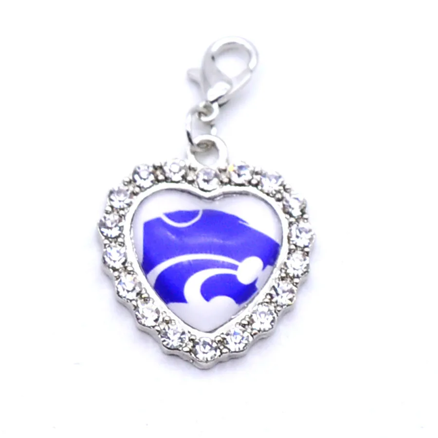 Подвески Университет Национальная организация студенческого спорта дикие кошки