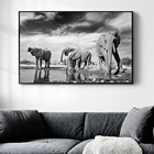 Африканские животные из дикой природы, слон, холст, картины, черные, белые животные, плакаты и принты, настенные картины, гостиная, домашний декор