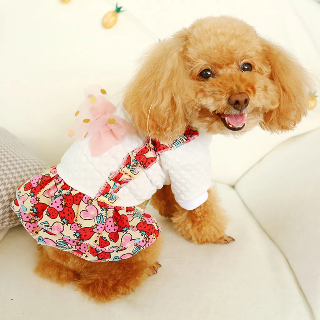 Новая юбка с принтом клубники для домашних животных осенняя и зимняя модная