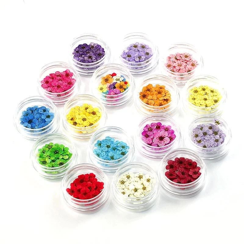 

17Pcs/Set 3D Nail Art Tool Decoration Mix Dried Flowers Nail Jewelry Natural Floral Leaf Stickers Decorations for Women beauty