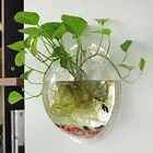 Ваза контейнер для террариума домашний садовый шар Декор подвесной стеклянный цветок настенный вазон подвесное стекло для вазы отправить Не оставляющий следов гвоздь