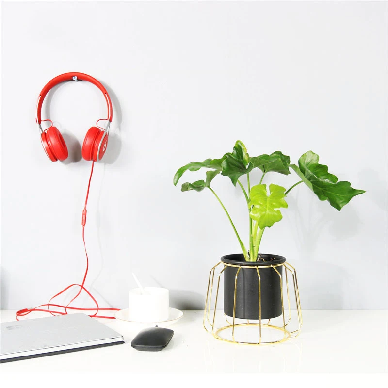 Скандинавский стиль керамические цветочные растения сочный Кактус белый горшок