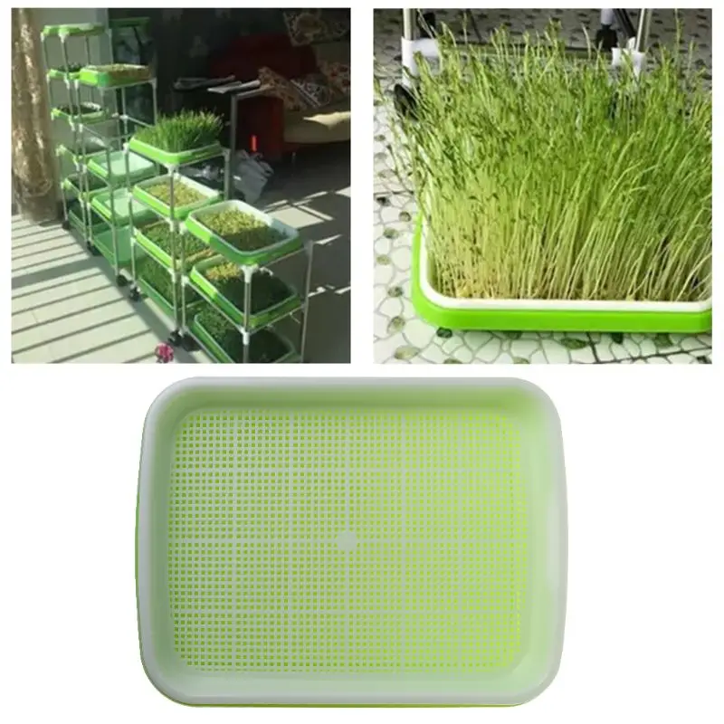 1 Набор лоток для выращивания растений и саженцев | Дом сад