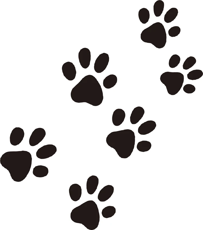 

2020 NEW Decal Sticker For Car Window, Laptop And More
