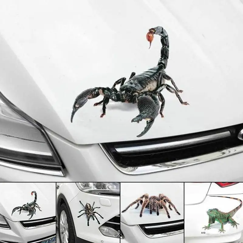 

Spider Lizard Pattern Car Sticker Personalized Custom Car Sticker High quality Halloween Series Car Sticker for Laptop wall door