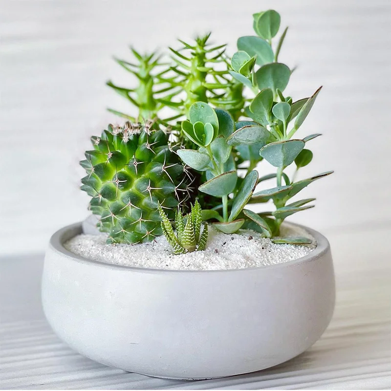 

Silicone Concrete Flower Pot Mold Bowl Design Cement Planter Silicone Mold Succulent Planting Cement Container Mold