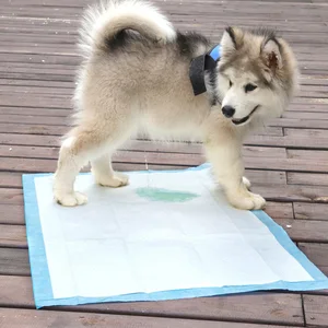 204050100 шт., одноразовые подгузники для собак