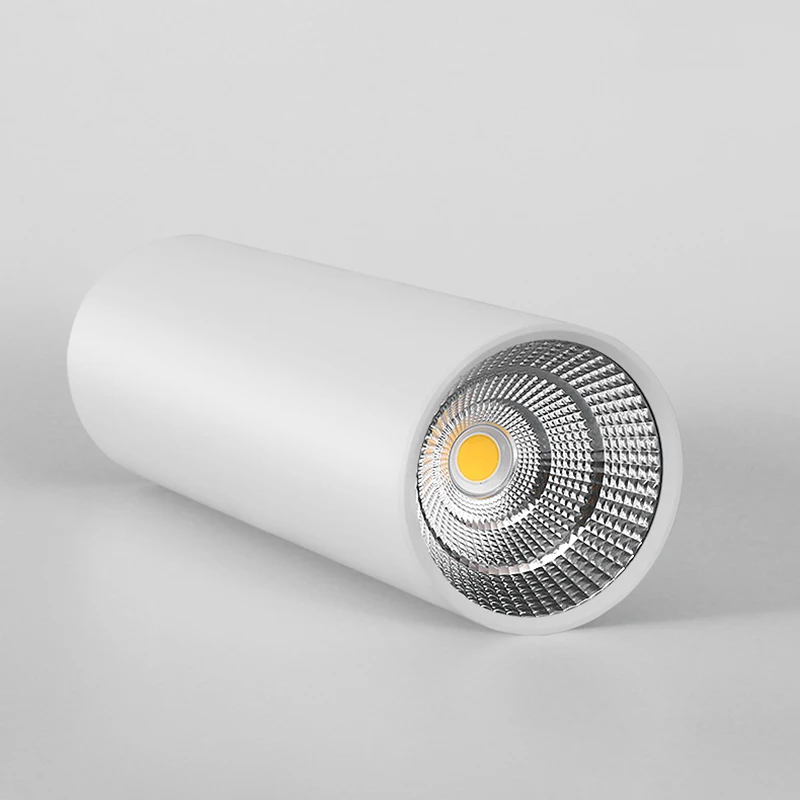 

Димируемые светодиодные потолочные светильники OEING 7/10 Вт