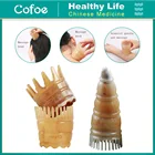 Cofoe Guasha Массажная щетка для головы Антистатическая расческа Волшебная терапия Спа Массажная щетка для головы акупунктурная китайская акупунктура