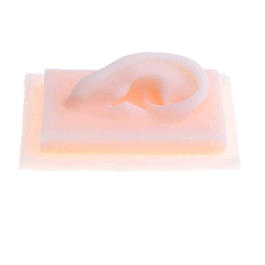 Силиконовая модель для акупунктуры с размером жизни школьный учебный инструмент