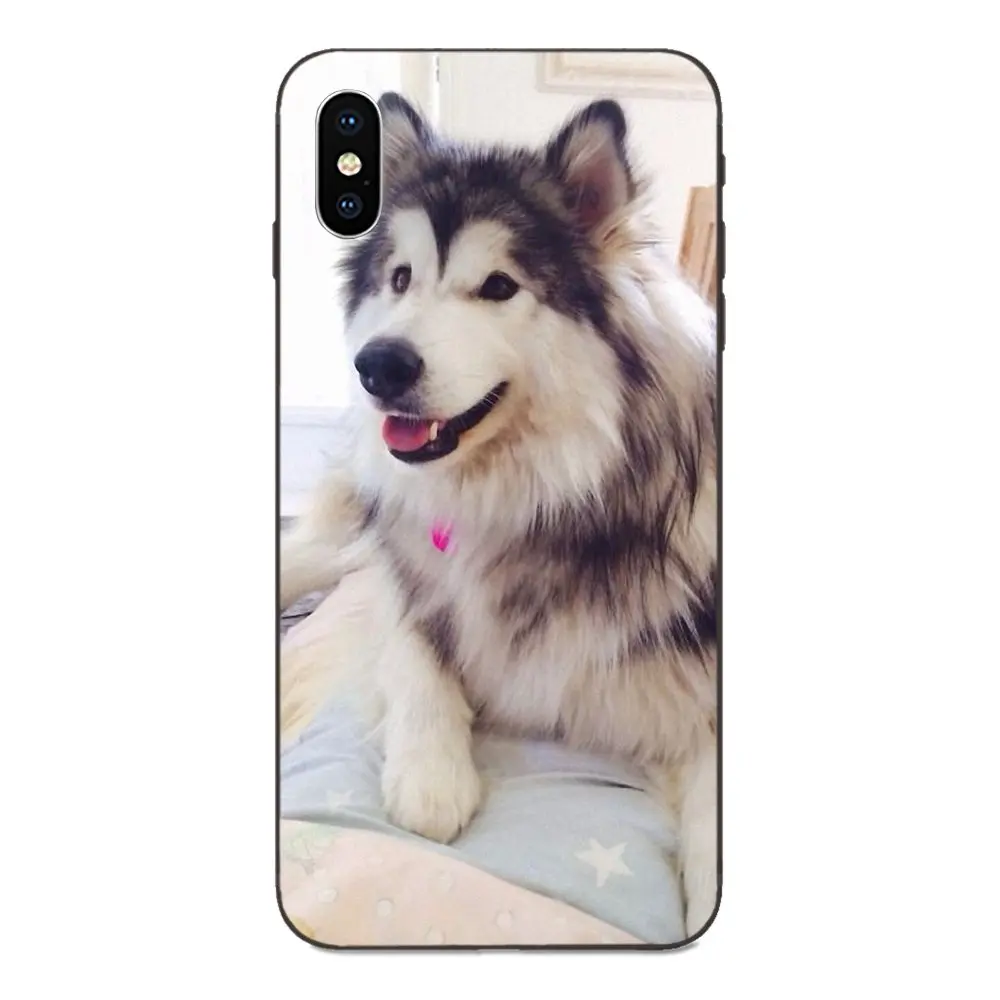as picture Мягкий чехол для Huawei Honor 5A 6A 6C 7A 7C 7X 8A 8C 8X9 10 P8 P9 P10 P20 P30 Мини Lite Plus самоед милая собака - Цвет: as picture