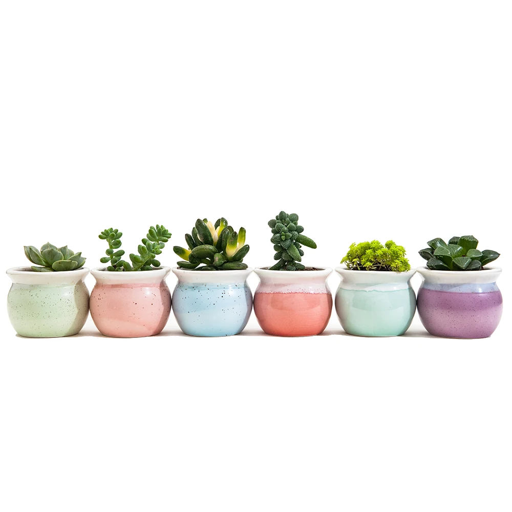 

3 Inch Container Bonsai Planters Ceramic Set Six Color Succulent Planter Pot Cactus Plant Pot Flower Pot Window Box with Hole