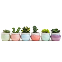 3 inch container bonsai planters ceramic set six color succulent planter pot cactus plant pot flower pot window box with hole