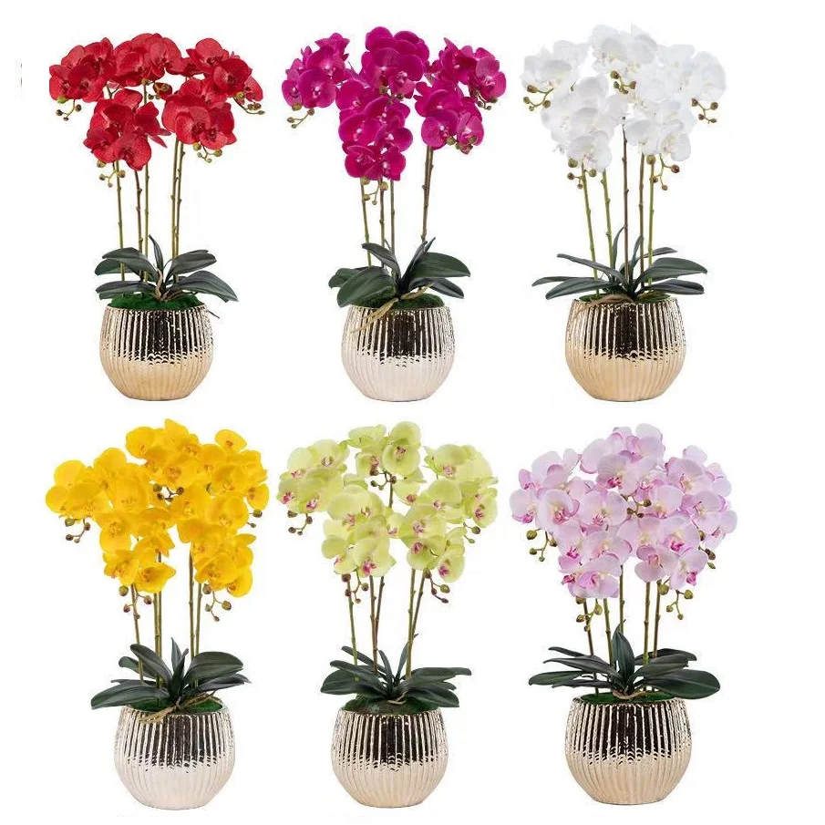 Индиго фаленопсис Баттерфляй белые орхидеи реального касания искусственный