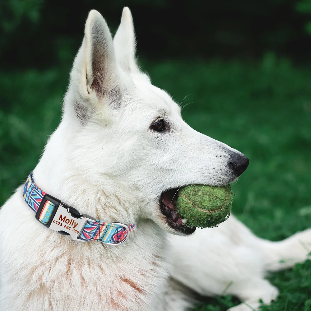 Регулируемый персональный собачий ошейник AiruiDog именной на заказ с гравировкой