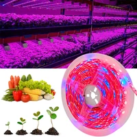 5m 10m 15m led grow light full spectrum growing light strip smd dc12v led phyto tape for seed plants flowers