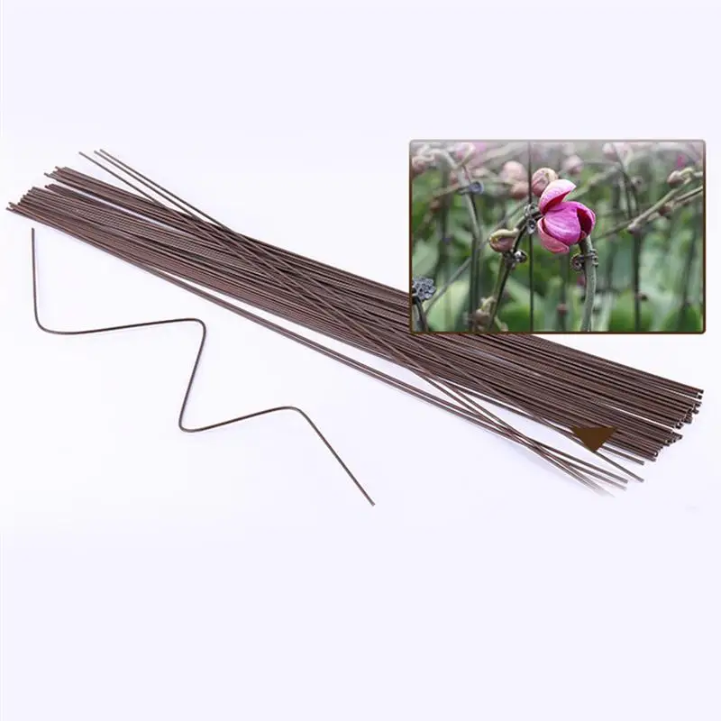 

10pcs Plant Climbing Supports Sticks Phalaenopsis Fixing Bracket with 50 Clips