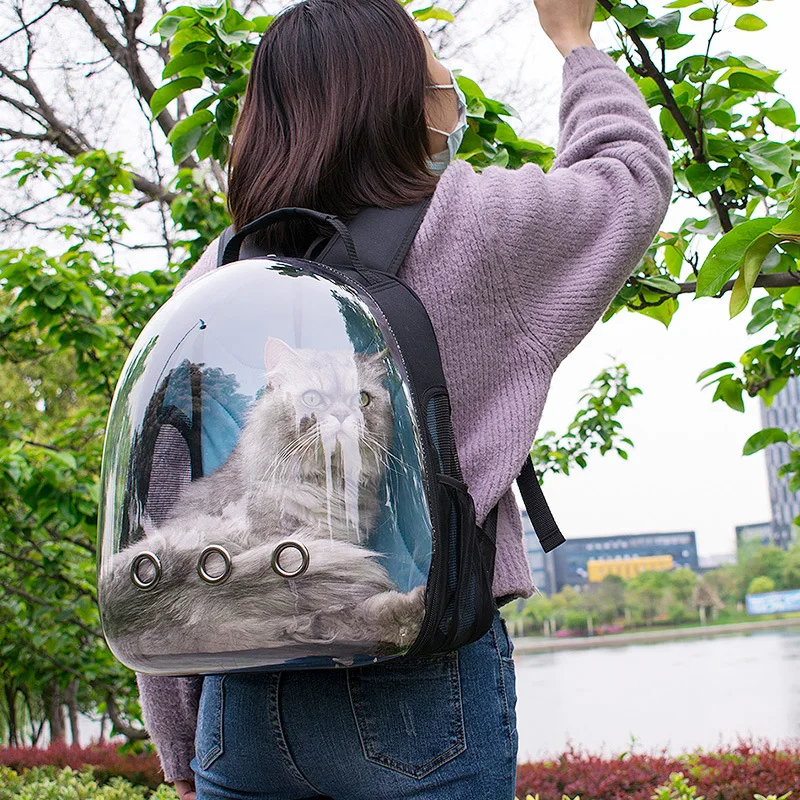 Переносная прозрачная сумка для домашних животных клетка собак и кошек в стиле