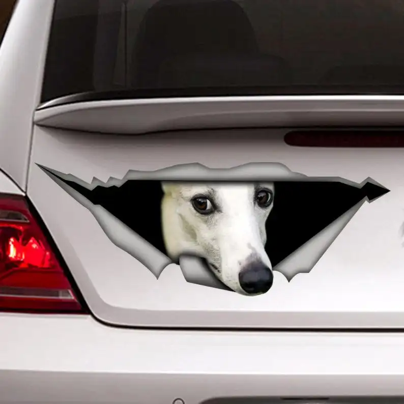 

White whippet car Decal, whippet magnet, Pet decal , Dog Decal, whippet sticker