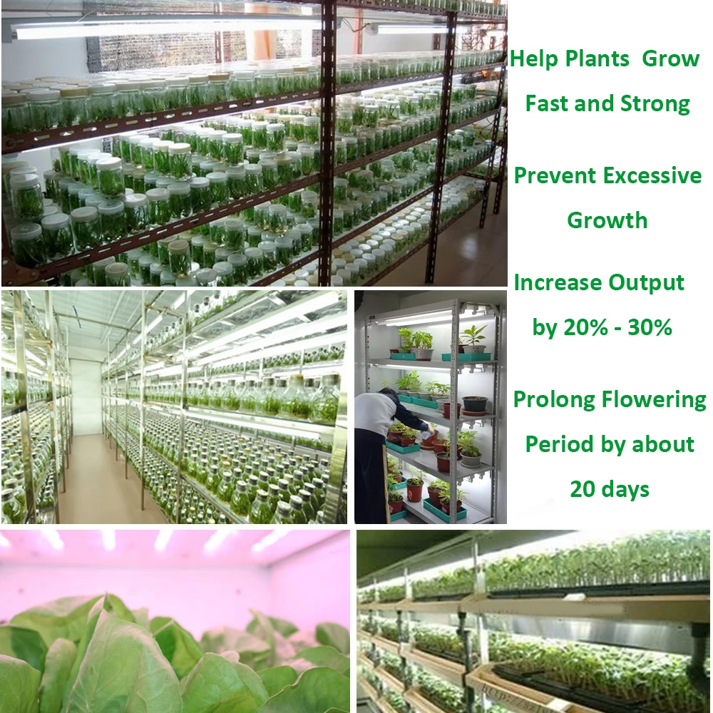 

T5 5W 7W 20W 30W 40W 30cm 45cm 60cm Full Spectrum White Color Led Grow Light Indoor Greenhouse Grow Plant Light Bar