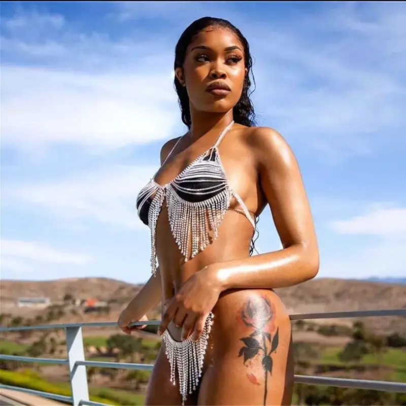 

Tassel Rhinestone Sexy Lingerie Body Chain Bra and Thong for Women Bling Bikini Set Crystal Cover Up Harness Jewelry Nightclub