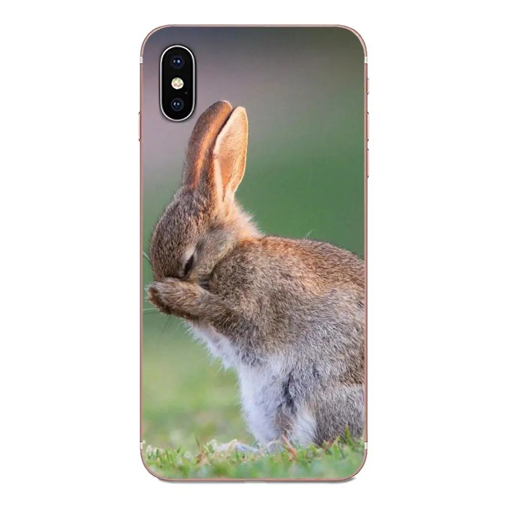 Симпатичные Mr коала Пасха Банн Кролик для huawei Honor 4C 5A 5C 5X6 6A 6X7 7A 7C 7X8 8C 8S 9 10 10i 20 20i Lite