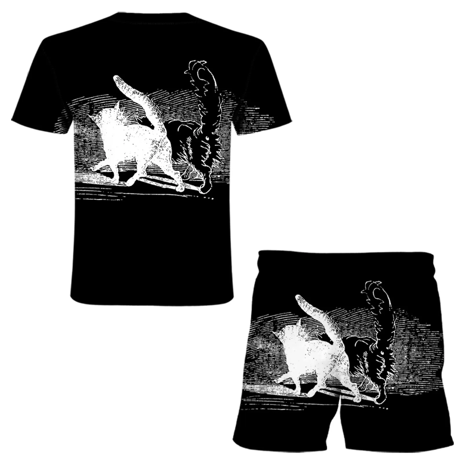 

Summer Casual Short-sleeved T-shirt + Shorts Two-piece Suit Men's Set Comfortable 3d Large Size Thin Fitness Running Sui #T3G