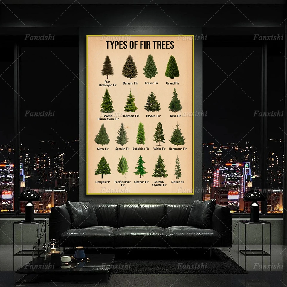 Типы пихт Рождественская елка сосна винтажный холст плакат и печать домашний