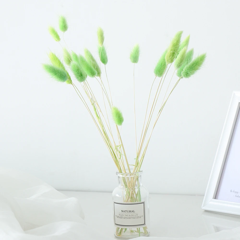 20 шт. сушеные цветы из натурального материала для украшения дома|Украшения