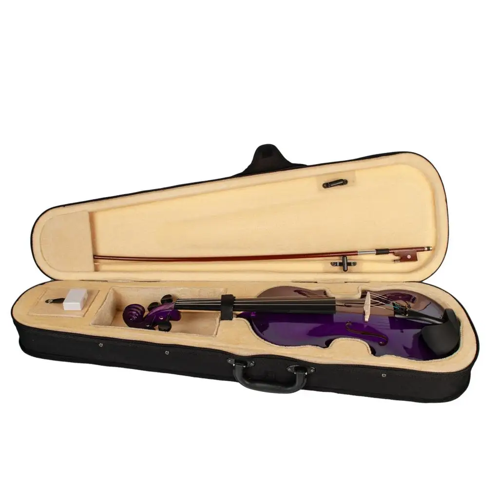 

NAOMI Full Size 4/4 Basswood Acoustic Violin Purple Violino Ebony Fingerboard Brazilwood Bow Musical Instruments With Case