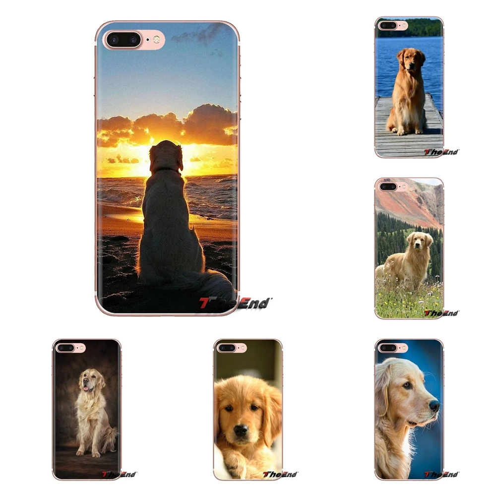 Подходит для породы золотистый ретривер со вставкой-дог мягкий прозрачный