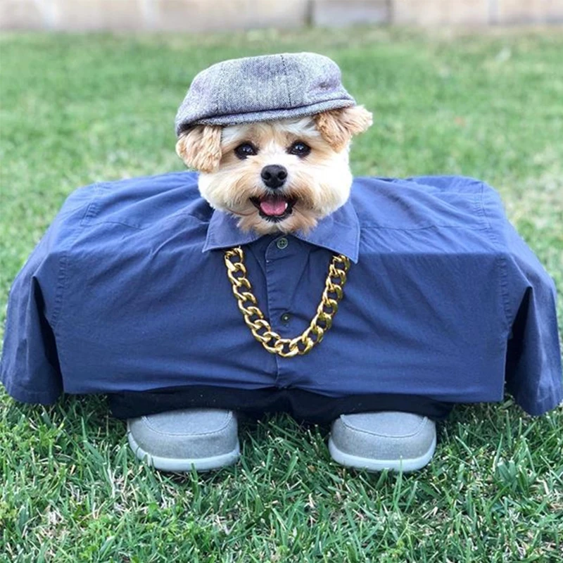 Позолоченная цепочка для собак ошейник кошек модный толстый пластиковый