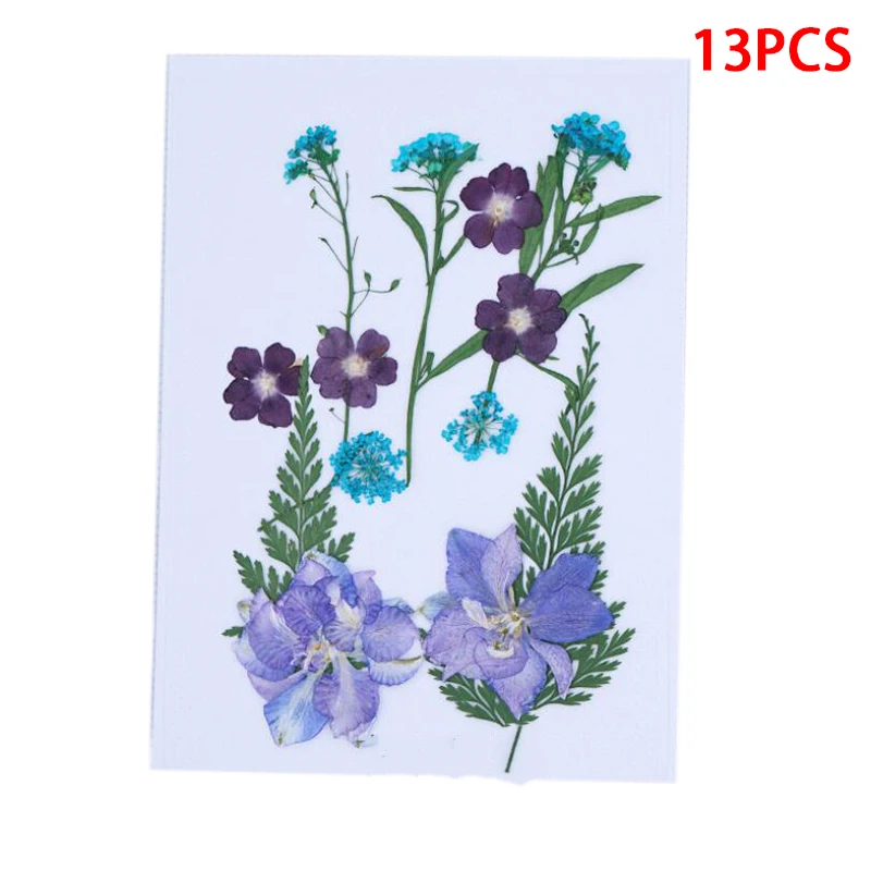 

1pcs Beautiful Real Pressed Flower Dried Flowers For Art Craft Scrapbooking Resin Jewelry Craft Making Phone Case